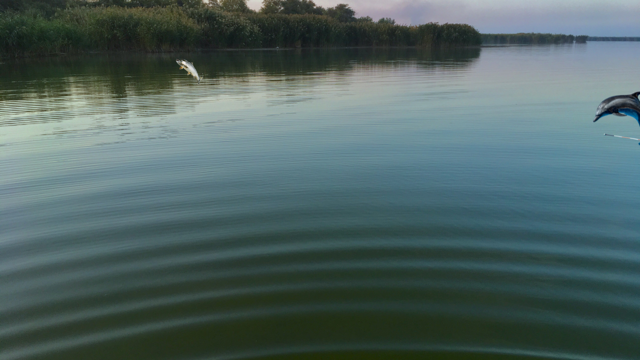 Calm lake at dawn